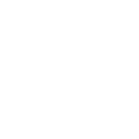 Weekly Report
